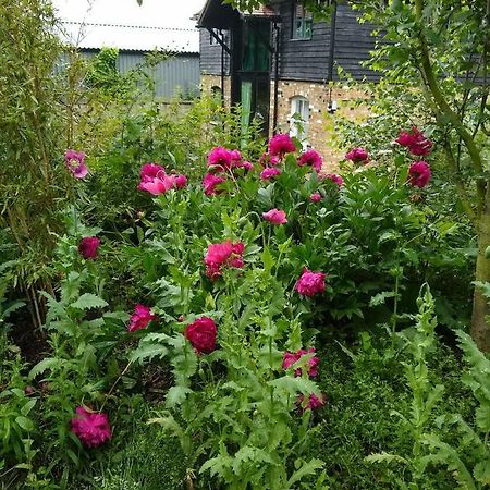Watercress Barns Διαμέρισμα Sittingbourne Εξωτερικό φωτογραφία