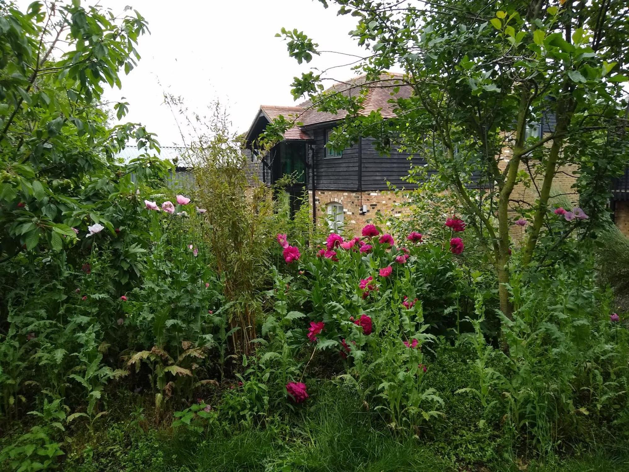 Watercress Barns Διαμέρισμα Sittingbourne Εξωτερικό φωτογραφία